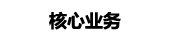核心业务