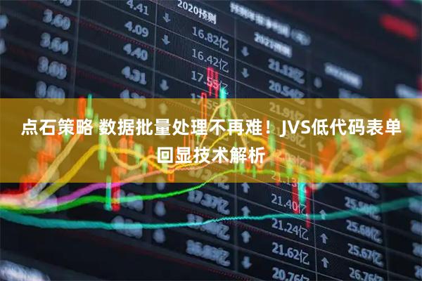 点石策略 数据批量处理不再难！JVS低代码表单回显技术解析
