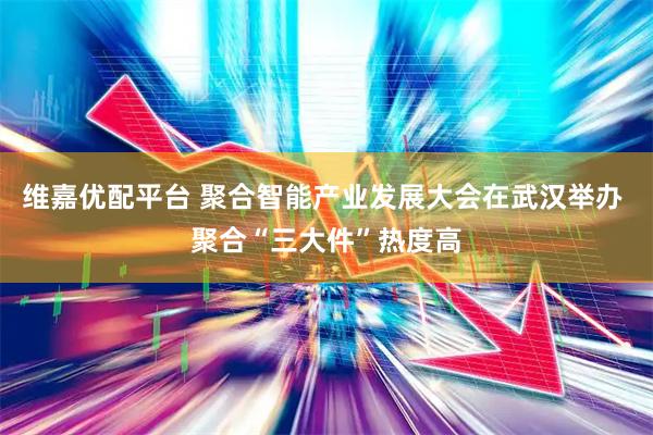维嘉优配平台 聚合智能产业发展大会在武汉举办 聚合“三大件”热度高