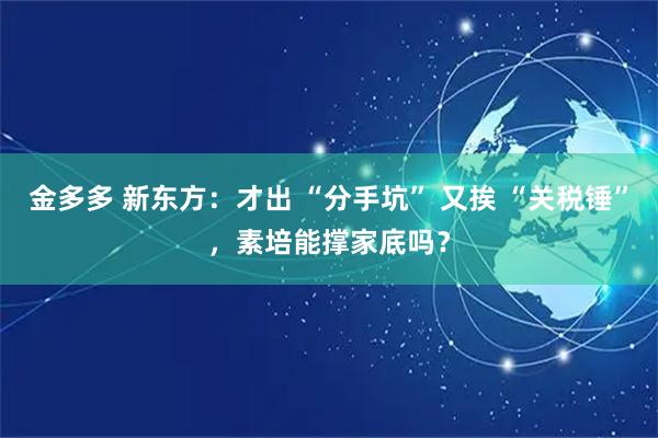 金多多 新东方：才出 “分手坑” 又挨 “关税锤”，素培能撑家底吗？
