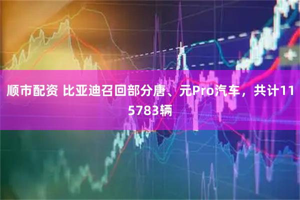 顺市配资 比亚迪召回部分唐、元Pro汽车,共计115783辆